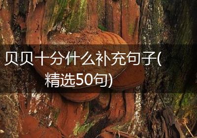 贝贝十分什么补充句子(精选50句)
