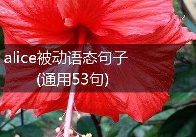 alice被动语态句子(通用53句)