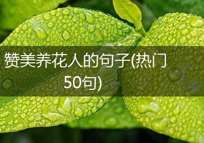 赞美养花人的句子(热门50句)