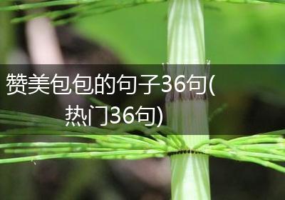 赞美包包的句子36句(热门36句)