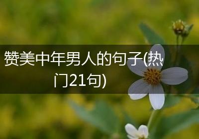 赞美中年男人的句子(热门21句)