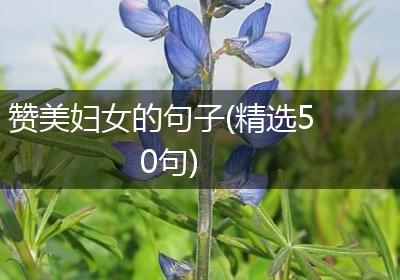 赞美妇女的句子(精选50句)