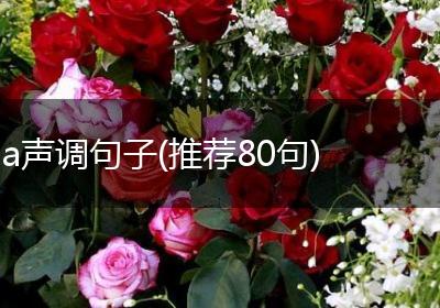 a声调句子(推荐80句)