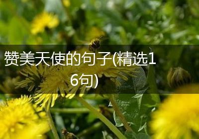 赞美天使的句子(精选16句)