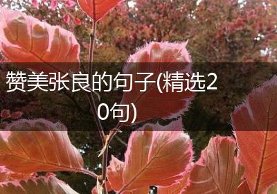 赞美张良的句子(精选20句)