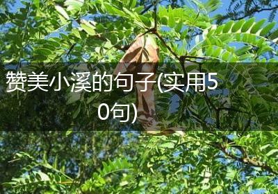 赞美小溪的句子(实用50句)