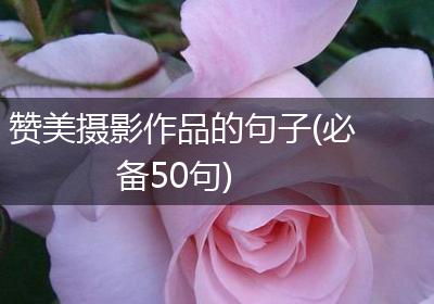 赞美摄影作品的句子(必备50句)