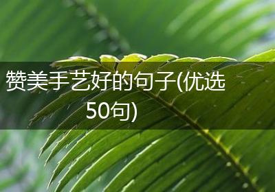 赞美手艺好的句子(优选50句)