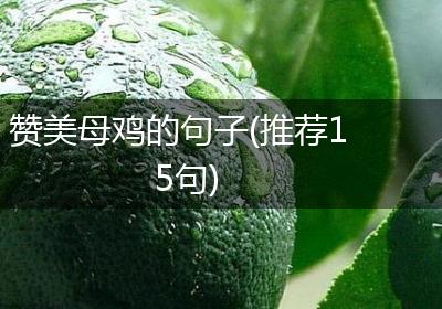 赞美母鸡的句子(推荐15句)