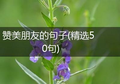 赞美朋友的句子(精选50句)