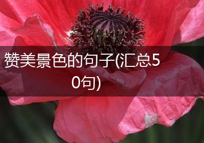 赞美景色的句子(汇总50句)