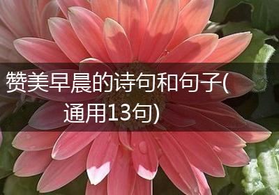 赞美早晨的诗句和句子(通用13句)