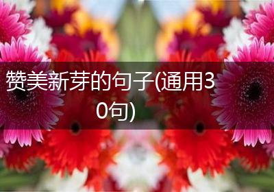 赞美新芽的句子(通用30句)