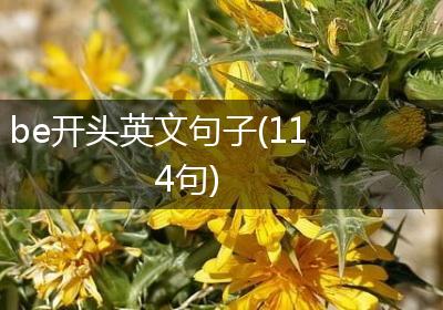 be开头英文句子(114句)