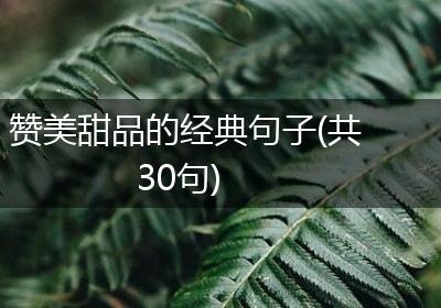 赞美甜品的经典句子(共30句)