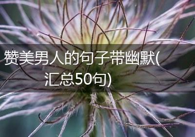 赞美男人的句子带幽默(汇总50句)