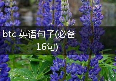 btc 英语句子(必备16句)