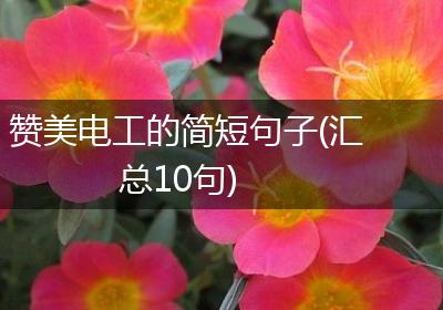 赞美电工的简短句子(汇总10句)