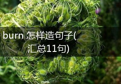 burn 怎样造句子(汇总11句)