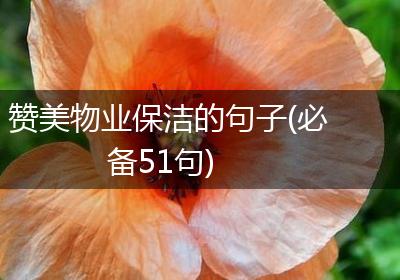 赞美物业保洁的句子(必备51句)