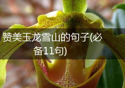 赞美玉龙雪山的句子(必备11句)