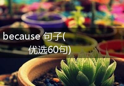 because 句子(优选60句)