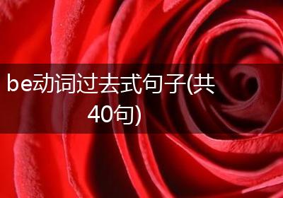 be动词过去式句子(共40句)