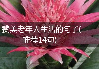 赞美老年人生活的句子(推荐14句)