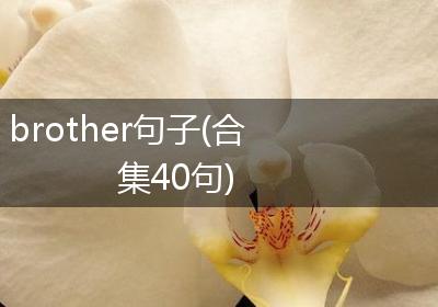 brother句子(合集40句)