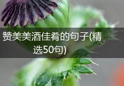 赞美美酒佳肴的句子(精选50句)