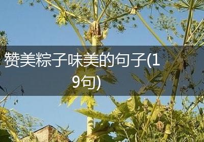 赞美粽子味美的句子(19句)