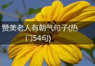 赞美老人有朝气句子(热门54句)