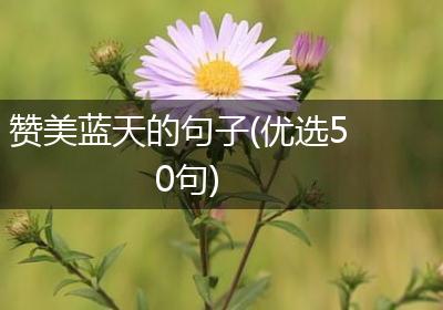 赞美蓝天的句子(优选50句)