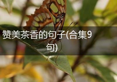 赞美茶香的句子(合集9句)