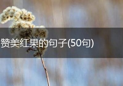 赞美红果的句子(50句)