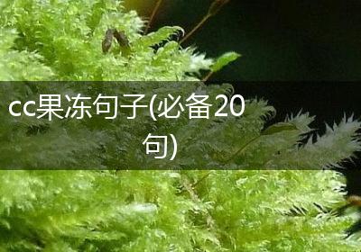 cc果冻句子(必备20句)