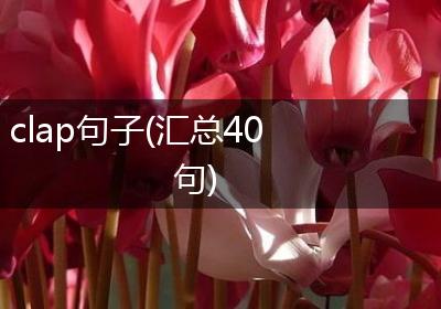 clap句子(汇总40句)