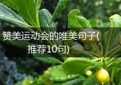 赞美运动会的唯美句子(推荐10句)