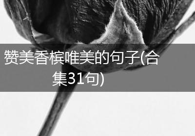 赞美香槟唯美的句子(合集31句)