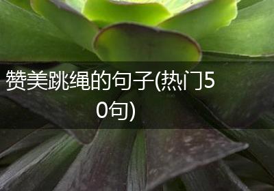 赞美跳绳的句子(热门50句)