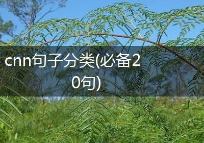 cnn句子分类(必备20句)