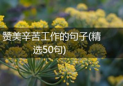 赞美辛苦工作的句子(精选50句)