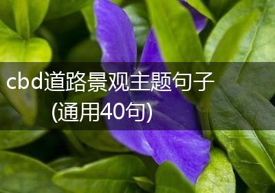 cbd道路景观主题句子(通用40句)