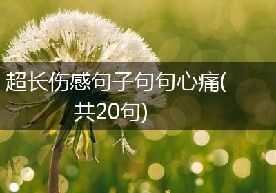 超长伤感句子句句心痛(共20句)