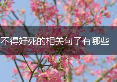 不得好死的相关句子有哪些