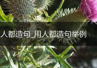 人都造句_用人都造句举例