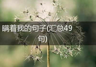 瞒着我的句子(汇总49句)