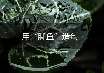 用“脚鱼”造句