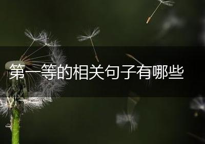 第一等的相关句子有哪些