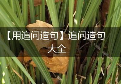 【用追问造句】追问造句大全